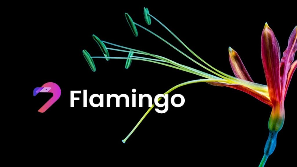 flamingo-crypto